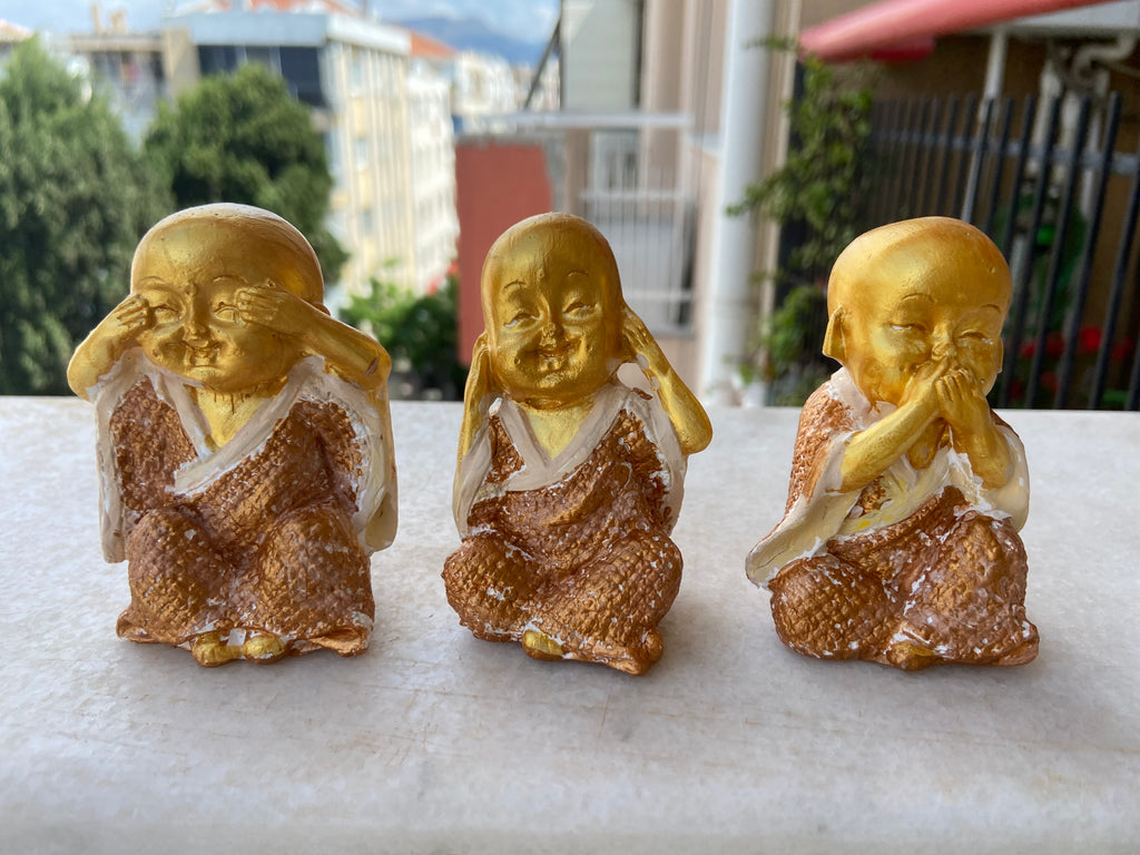 Görmedim Duymadım Bilmiyorum bibloları
